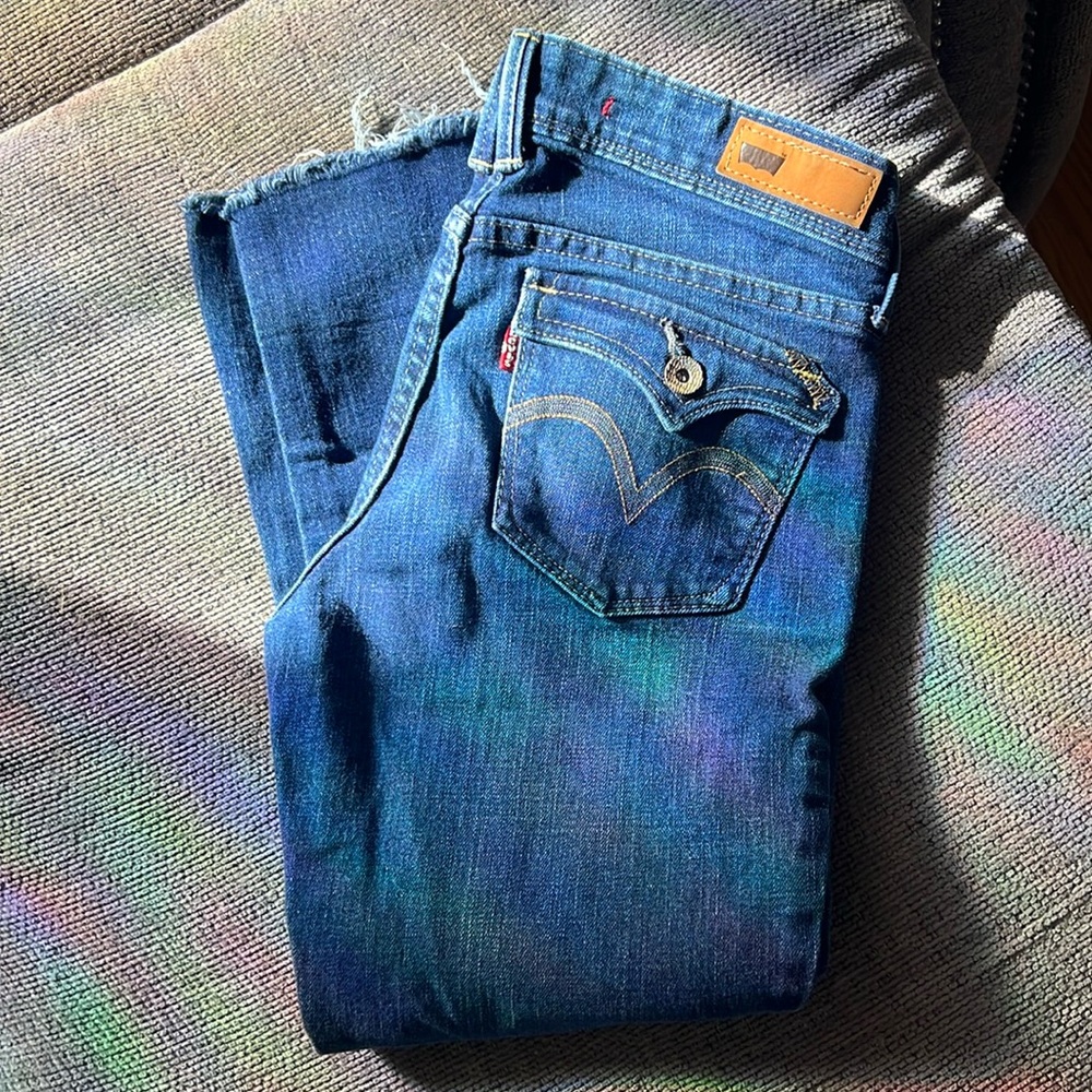 Levi Crops